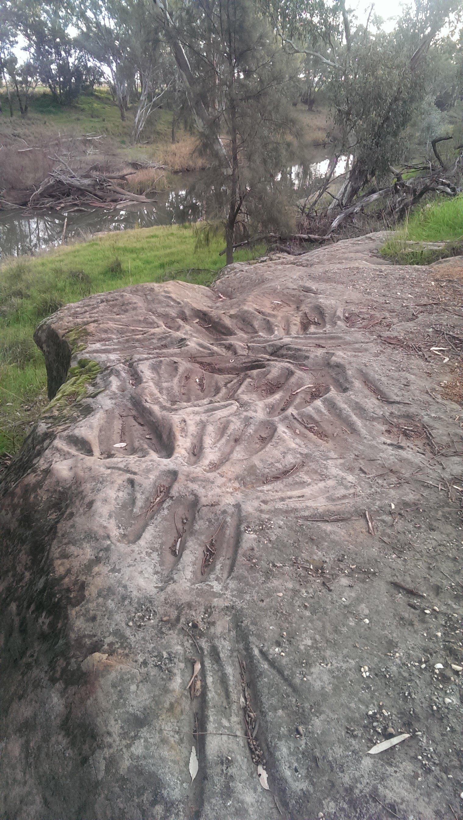 IMAG3600 Terramungamine_includes river