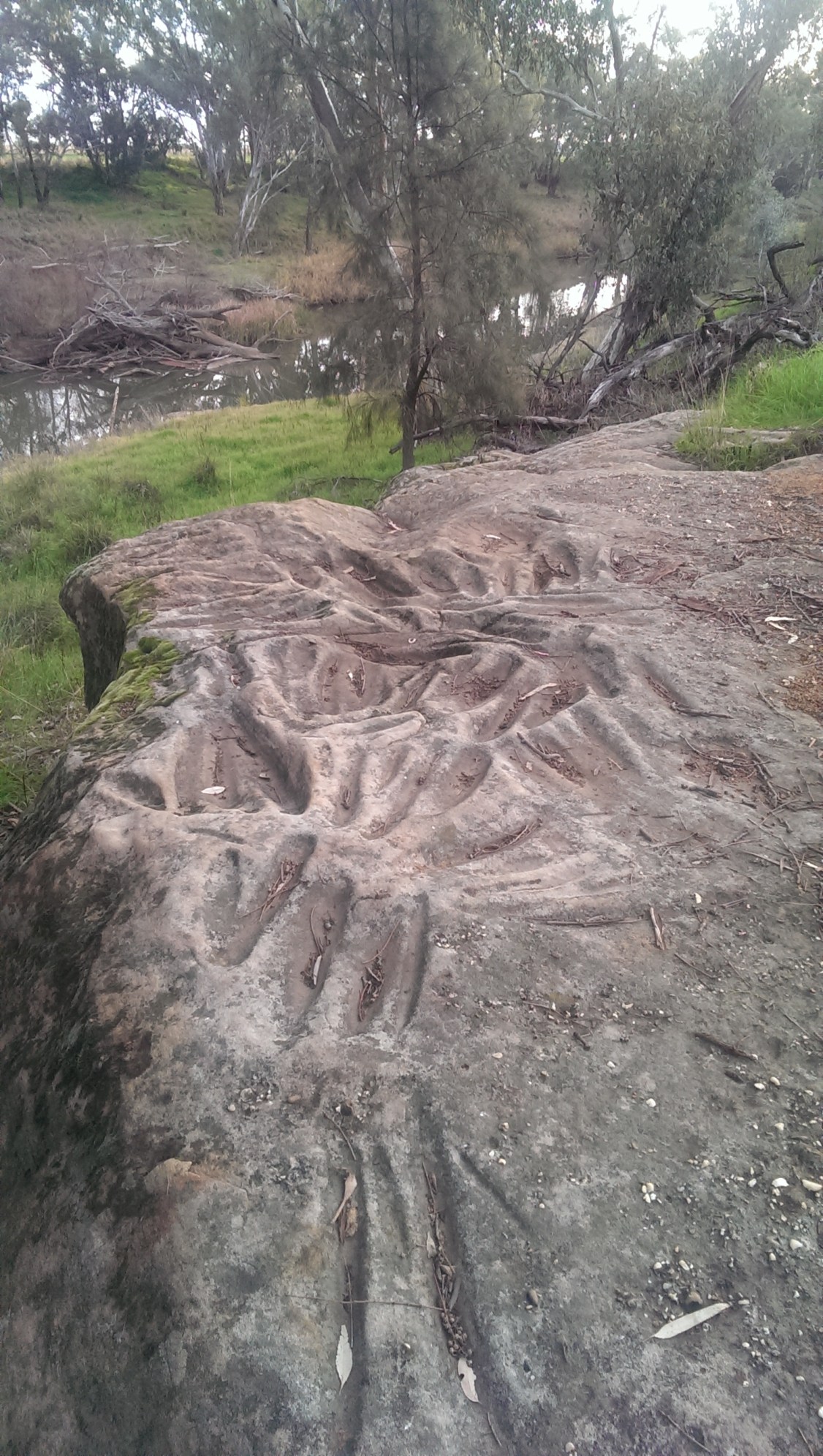 IMAG3600 Terramungamine_includes river