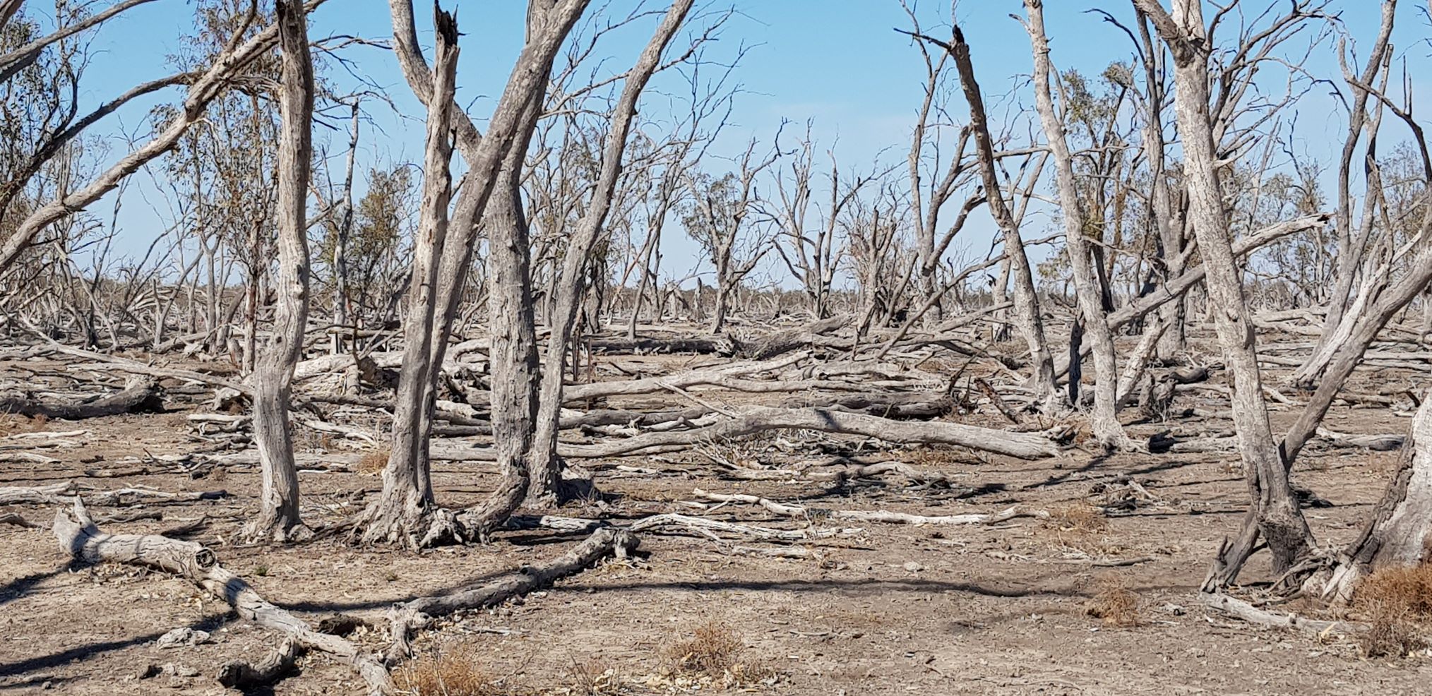 20190828_100555 resize